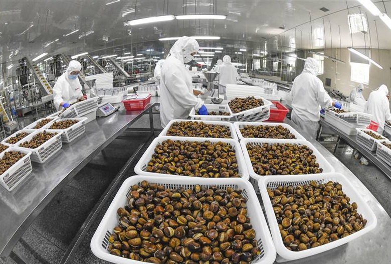 75d13ea18b07176cf75e1ac5f3c076ac_image(37)