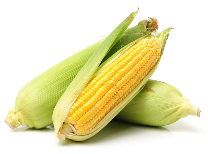 2706b3db9b1c5c1ef30a53f6c6a340df_image(59)