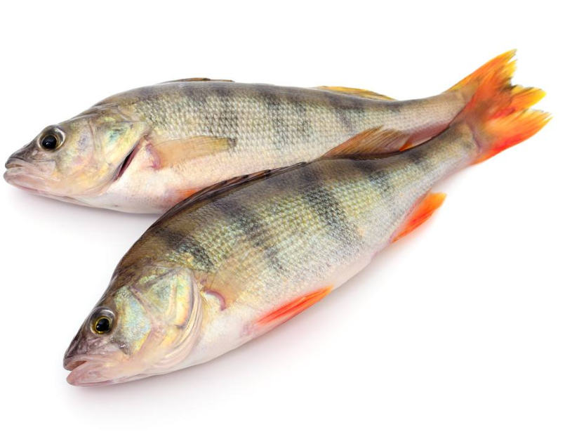 6b02cfc2958948387ef92b63476eb9b9_image(71)